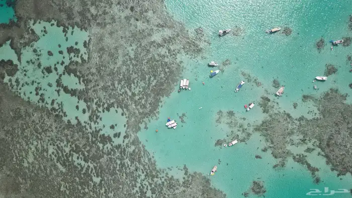 رحلات جزيرة بياضه مالديف جده ورحلات نزهه 16