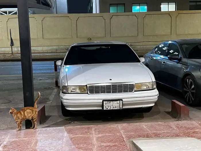 كابرس 94 LTZ للبيع 1