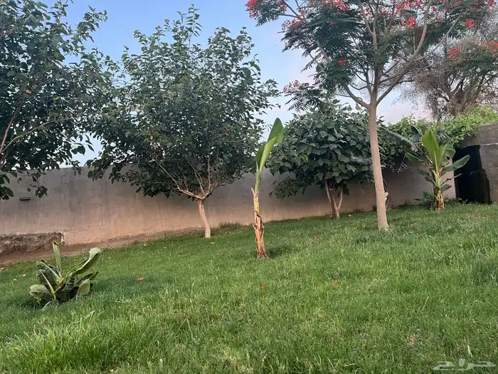استراحة وشاليه نصف القمر بمسبح 21