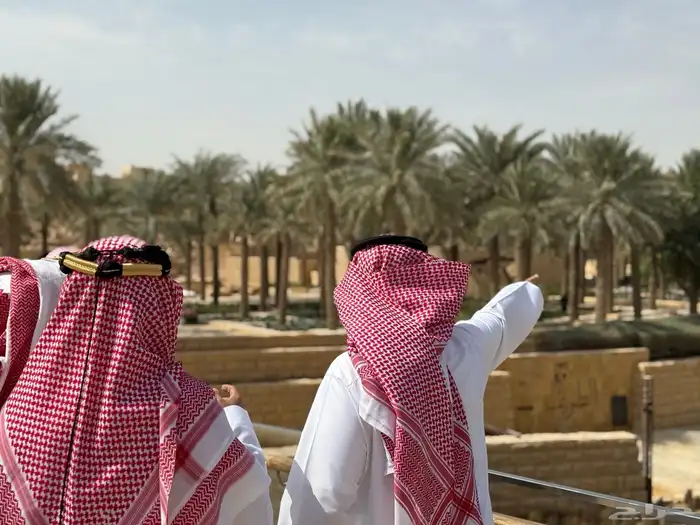 تصوير احترافي 5