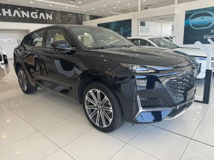 شانجان يونى كى 2025 0