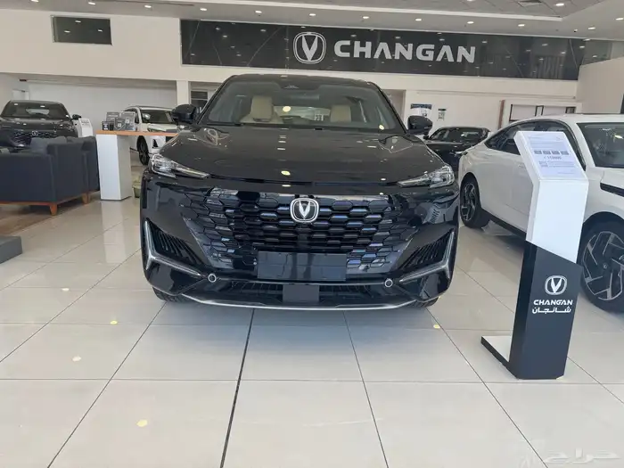 شانجان يونى كى 2025 1
