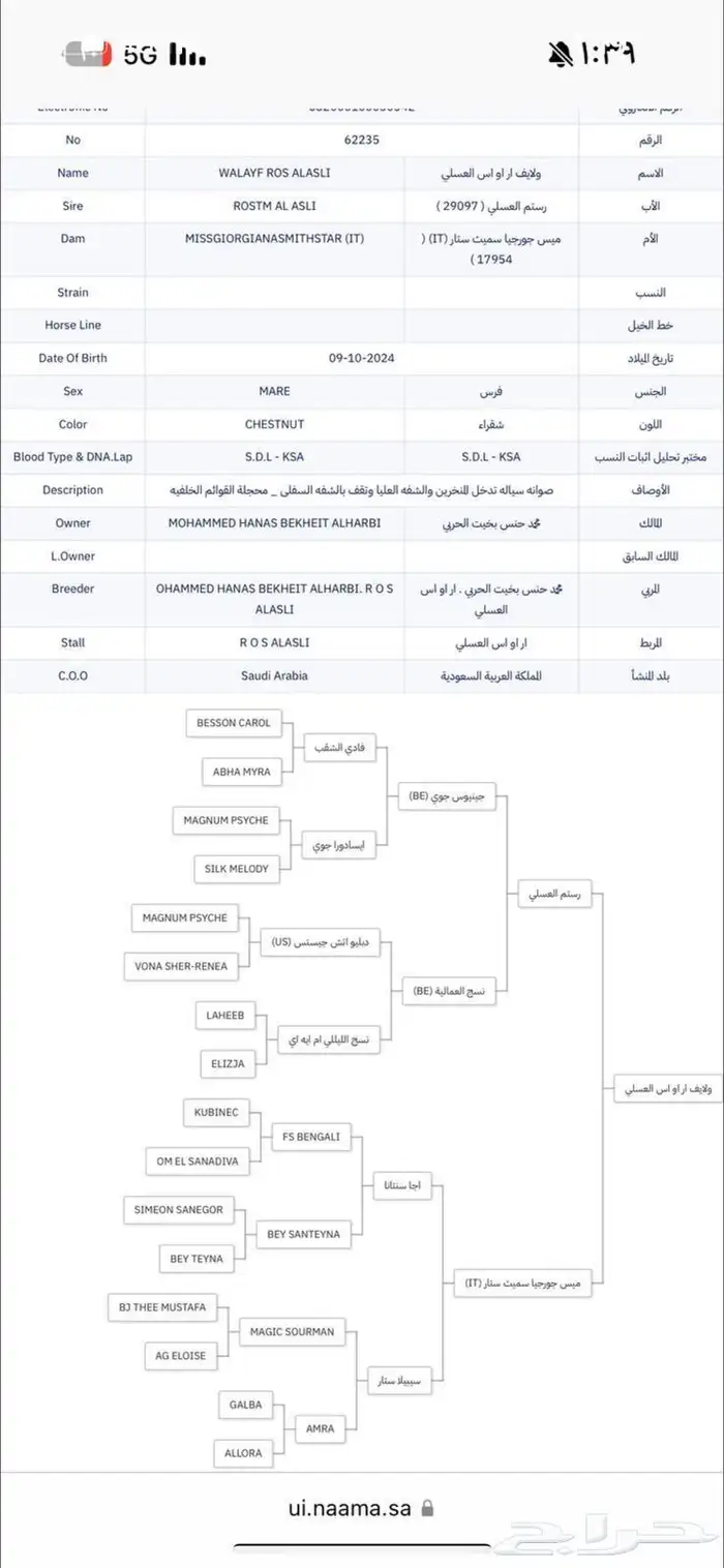 مهره مكس جمال فاخره كوالتي عالي 3