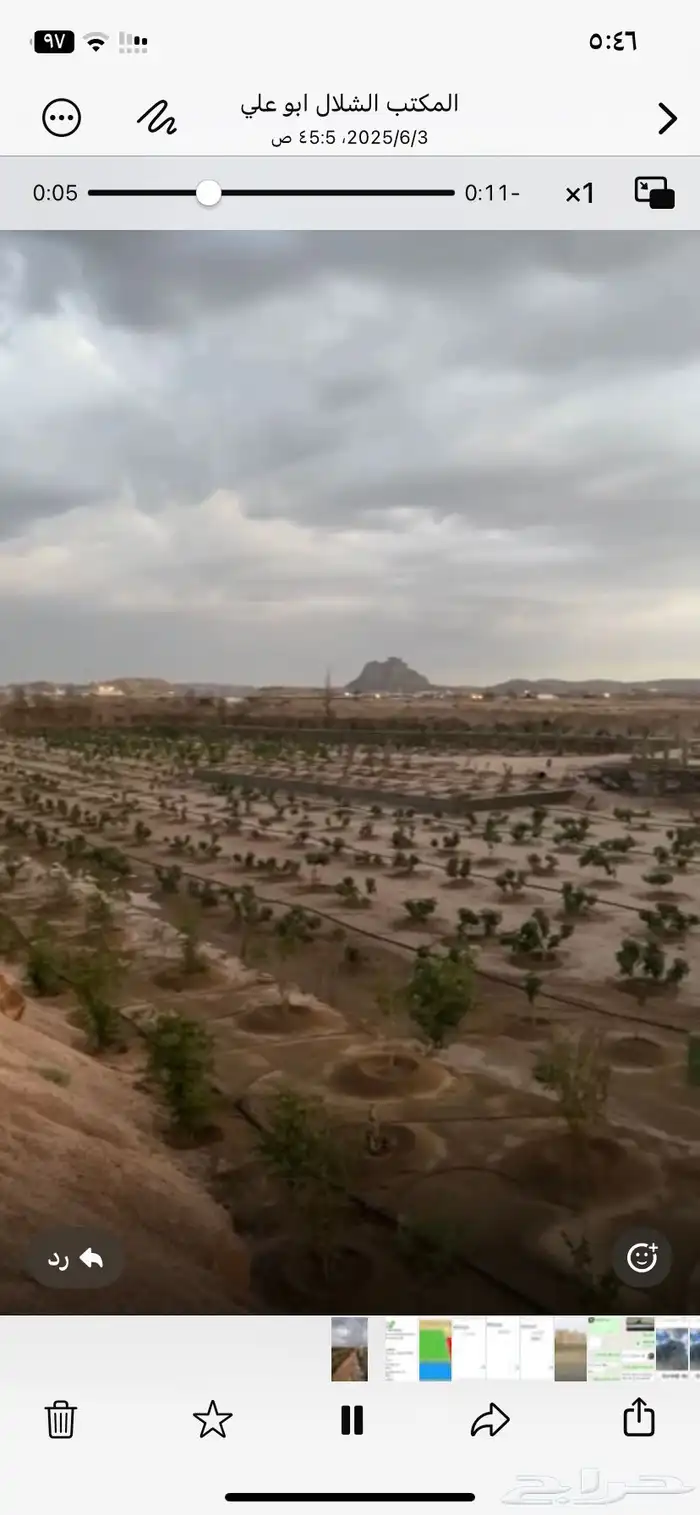 مزرعه بصك للبيع وادي بن هشبل علي 4 شوارع المتر 80 ريال 1