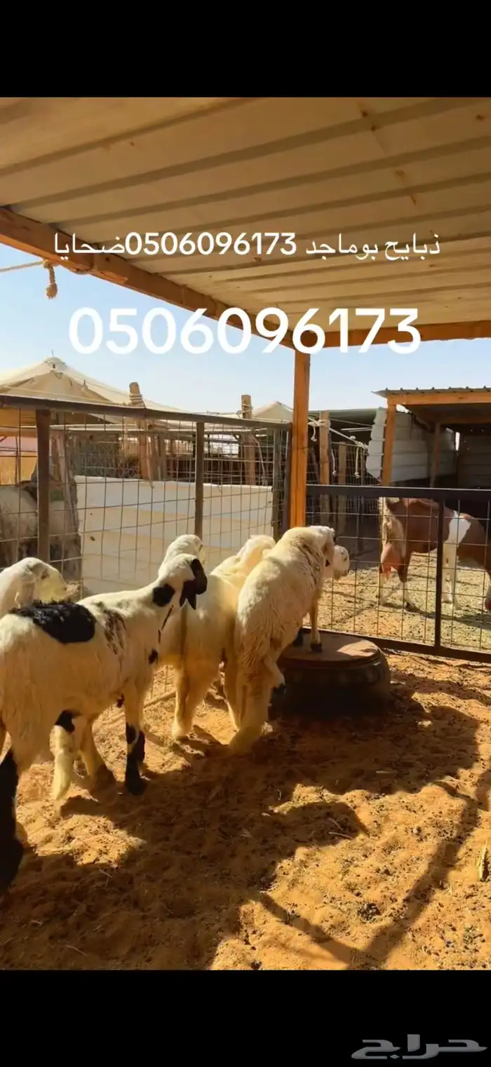 نعيم وسواكن يوجد توصيل. يوجد صلاخ في الموقع عند حلالي 5