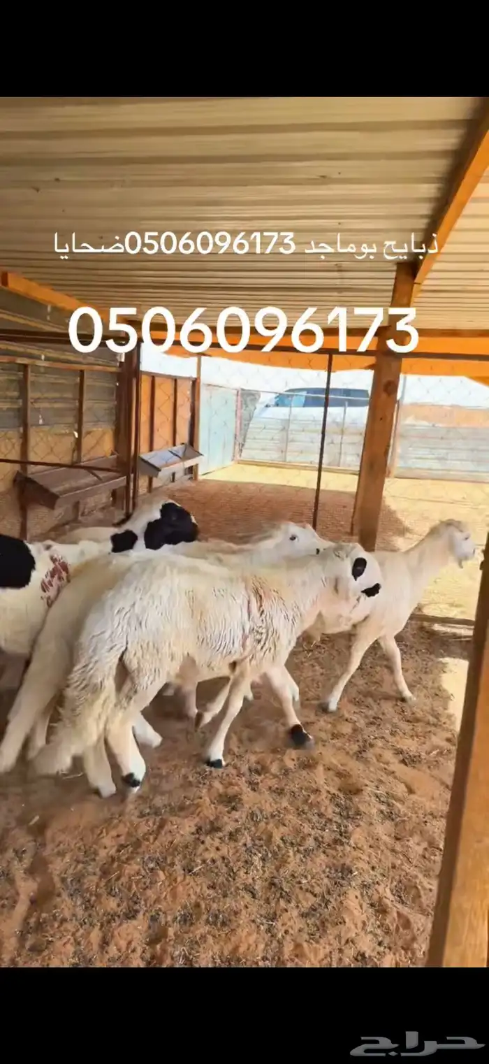 نعيم وسواكن يوجد توصيل. يوجد صلاخ في الموقع عند حلالي 4