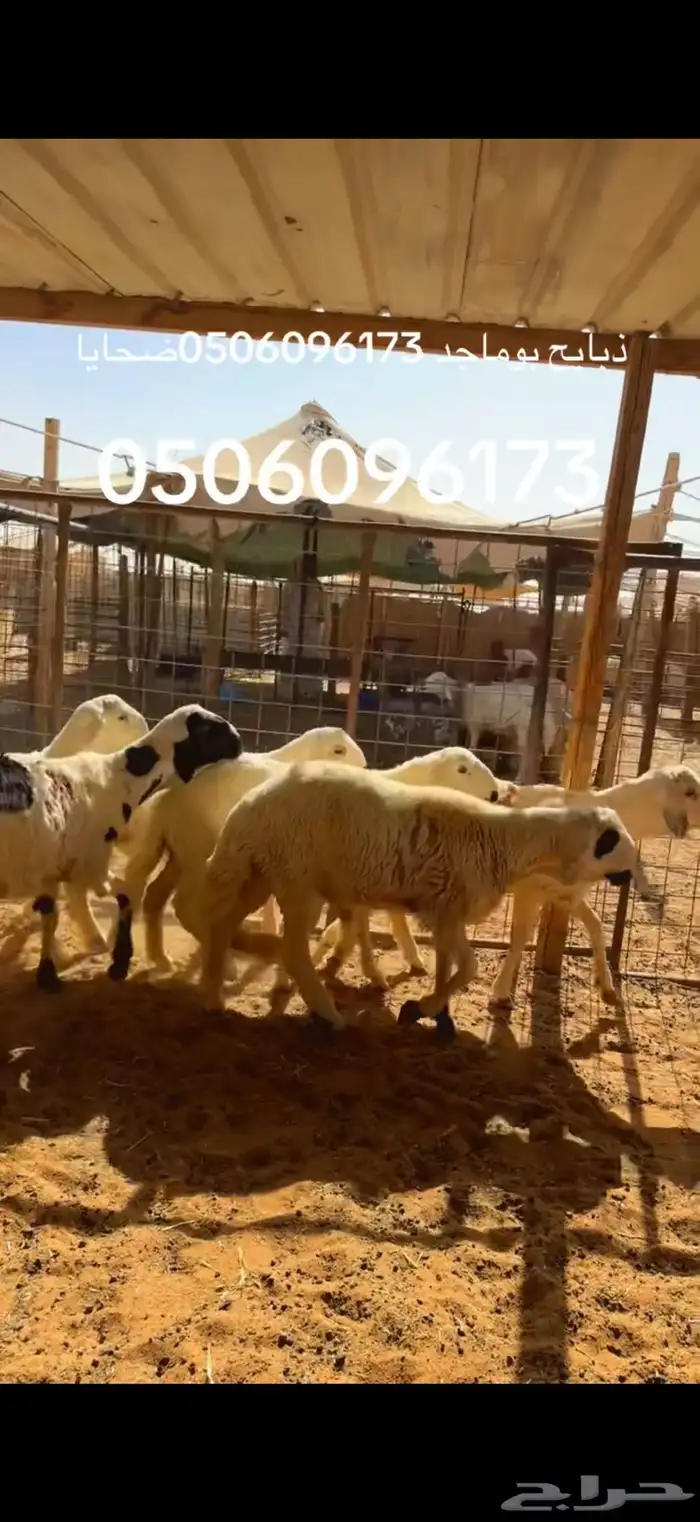 نعيم وسواكن يوجد توصيل. يوجد صلاخ في الموقع عند حلالي 6