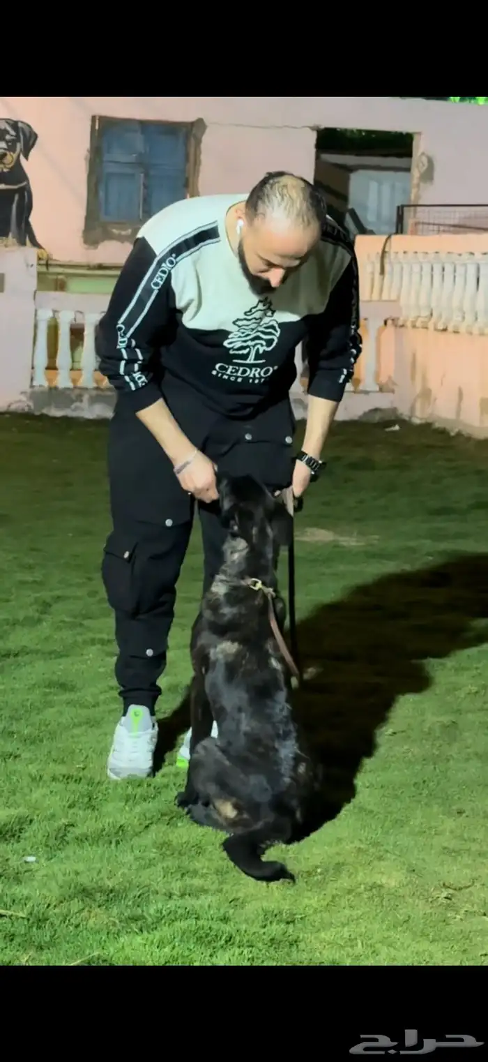 فندقة كلاب 0