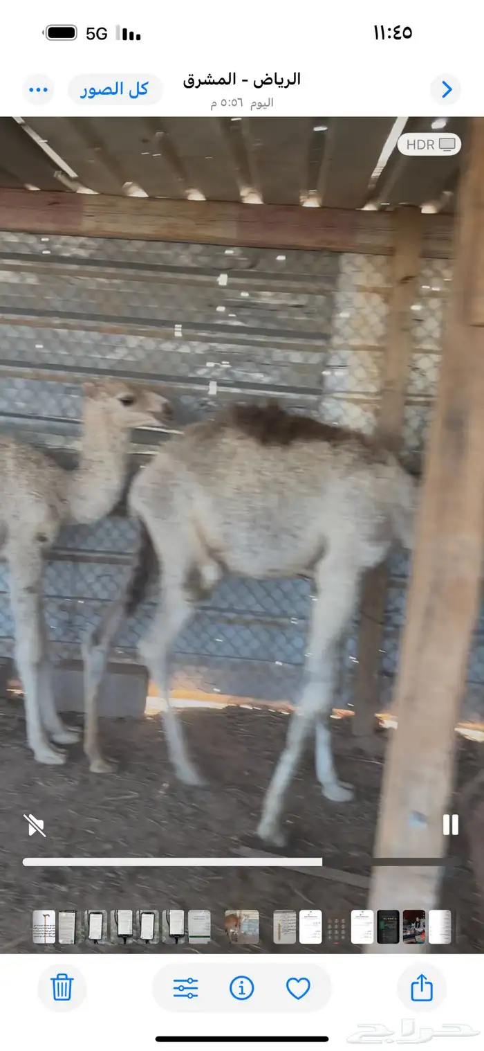 حشو تربيه العدد 30 ماشاءالله تبارك الله 6