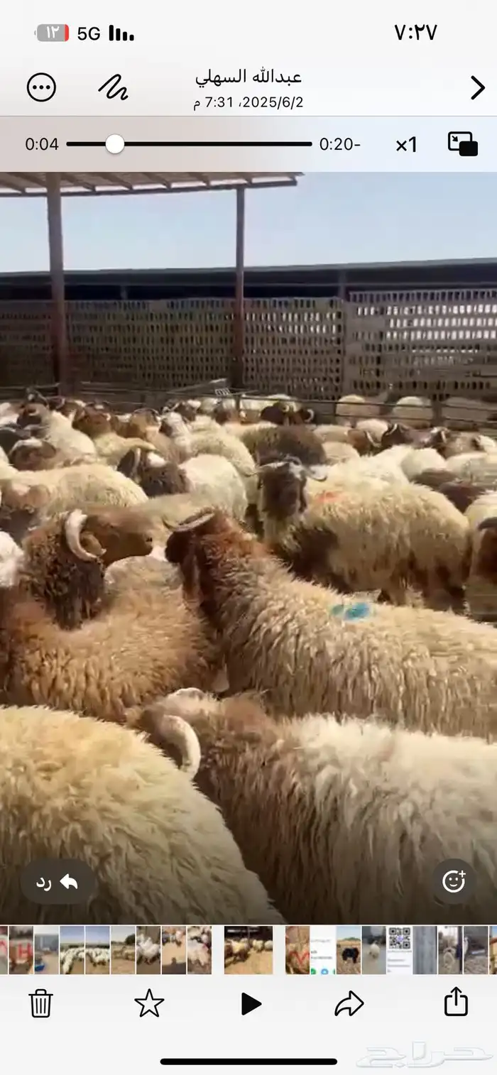 ضحايا نعيم 2