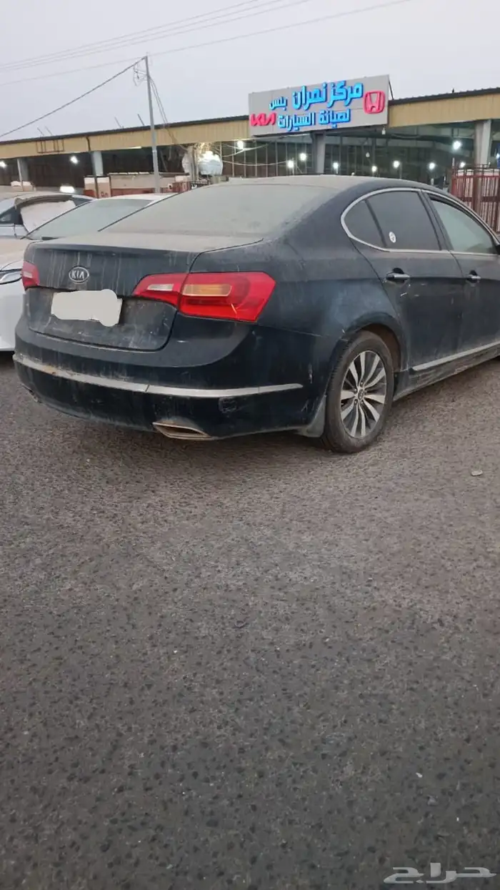 كادينزا 2012 1