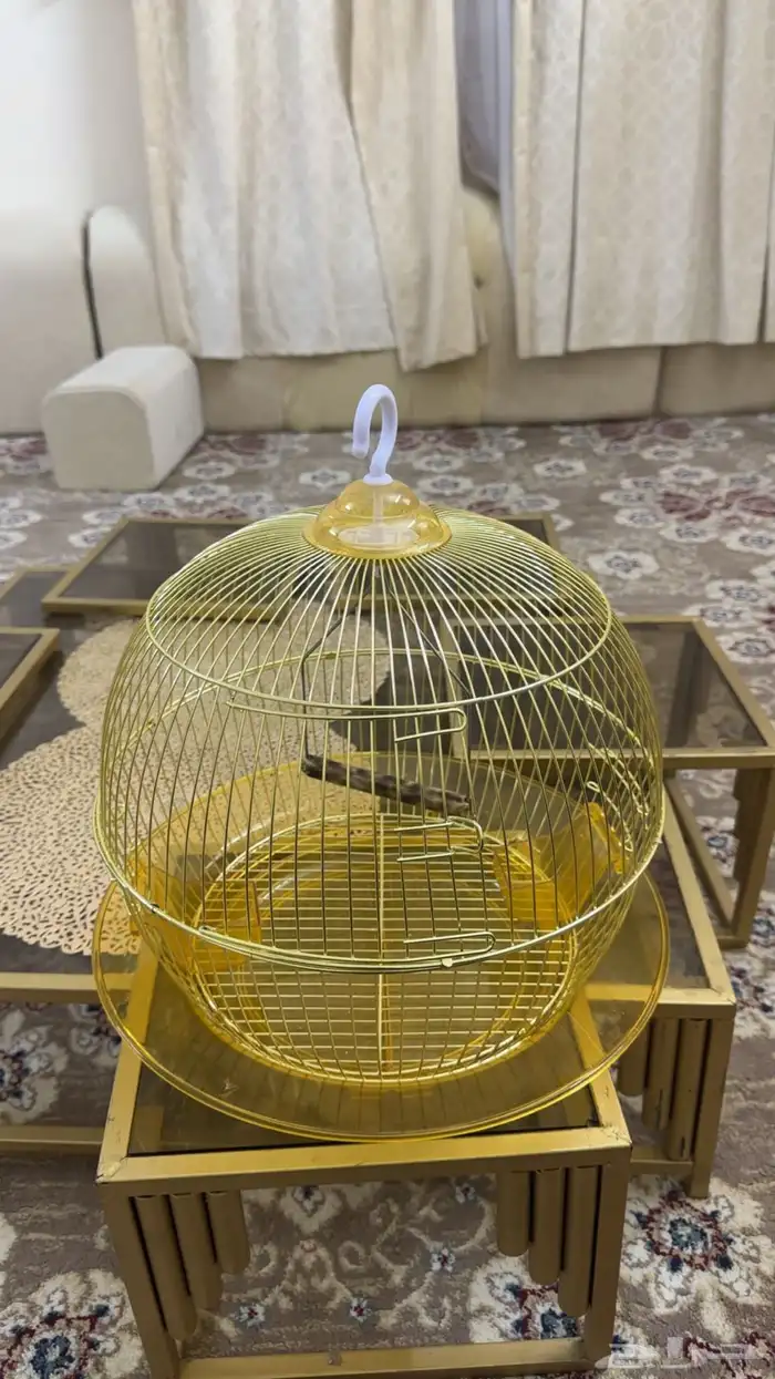قفص طيور 0