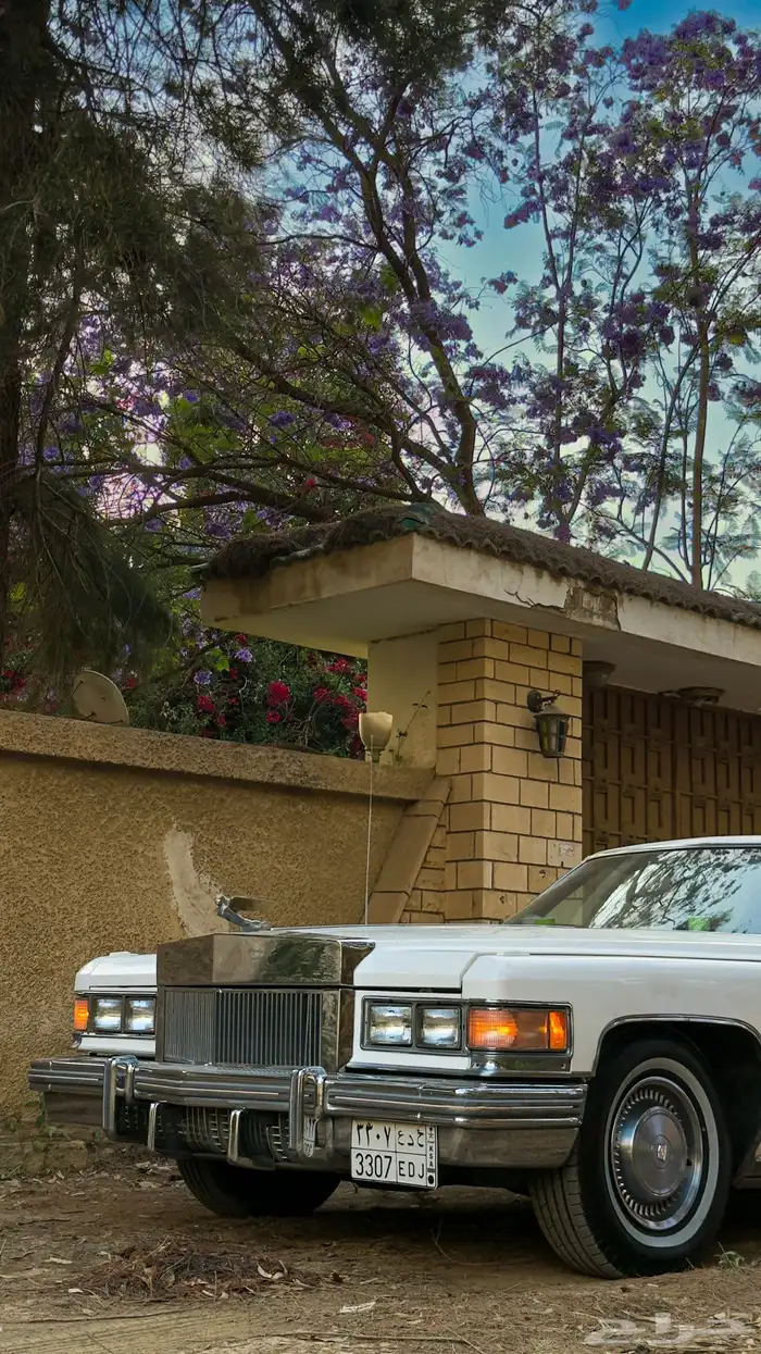 كاديلاك 1975 4
