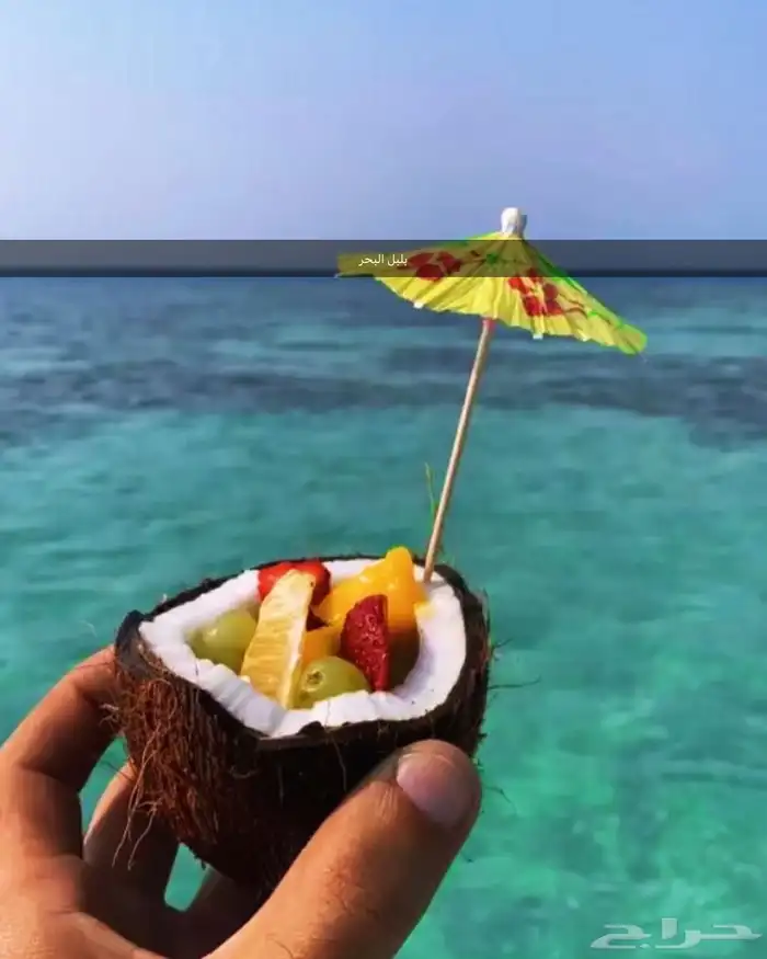 رحلات بحرية جزيرة بياضة وصيد 2