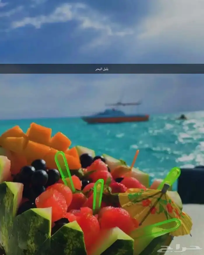 رحلات بحرية جزيرة بياضة وصيد 4