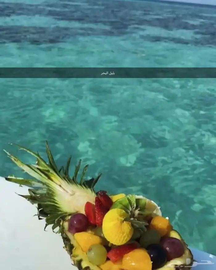 رحلات بحرية جزيرة بياضة وصيد 0