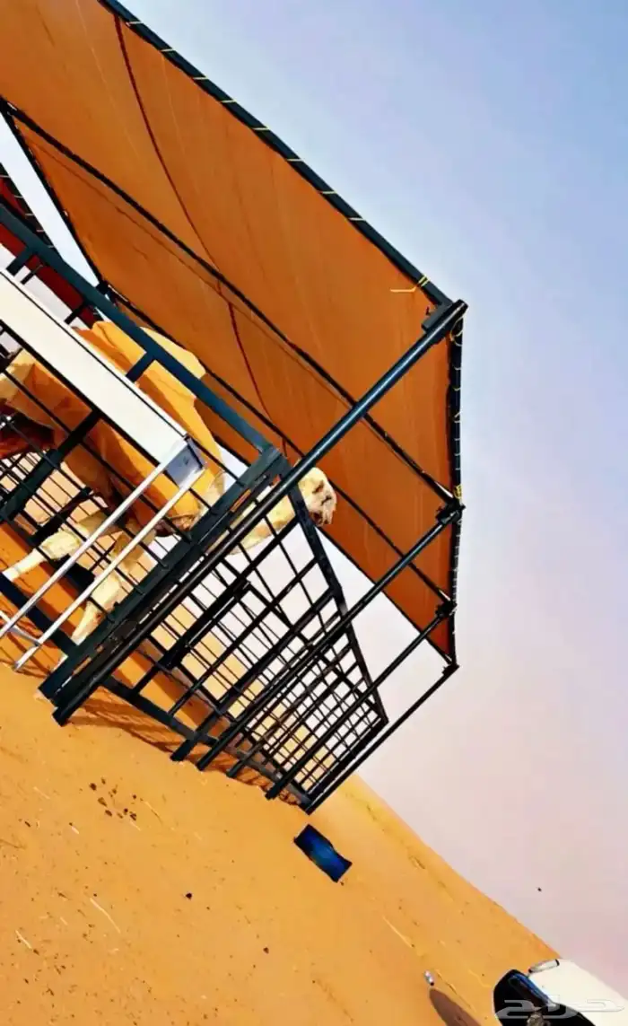 مضلات ابل او غنم او مضلات سيارات ادرف ابل ادرف غنم 2