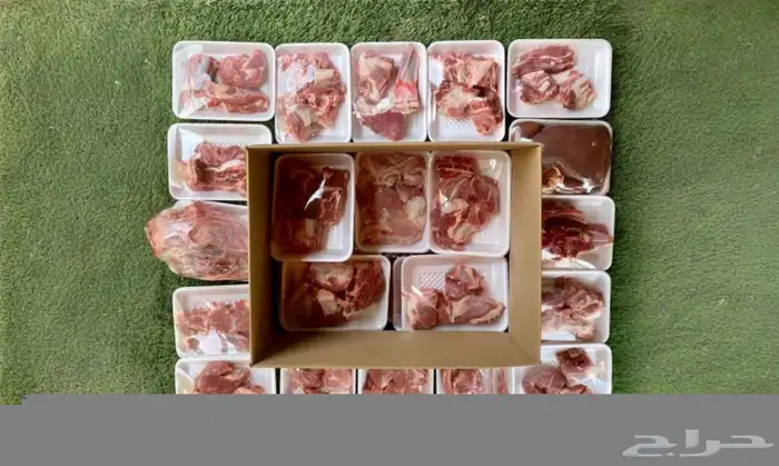 ذبيحتك لبيتك طليان حرية و طليان نجدية وتيوس عارضية وتيوس برص 8