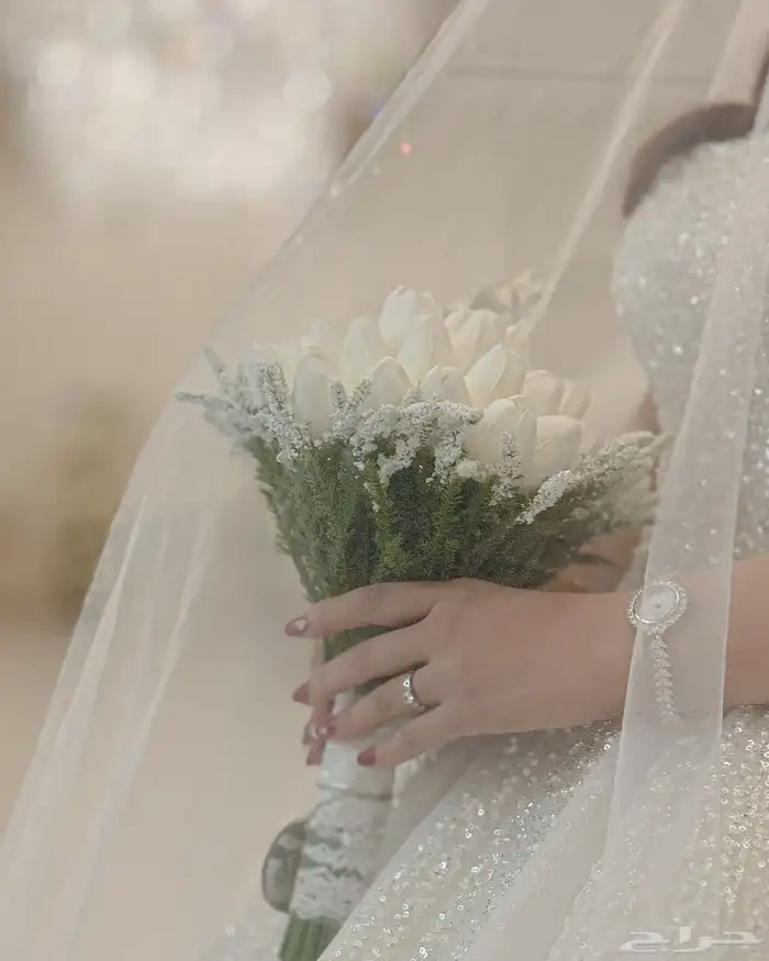مصورة زوجات ومناسبات 4