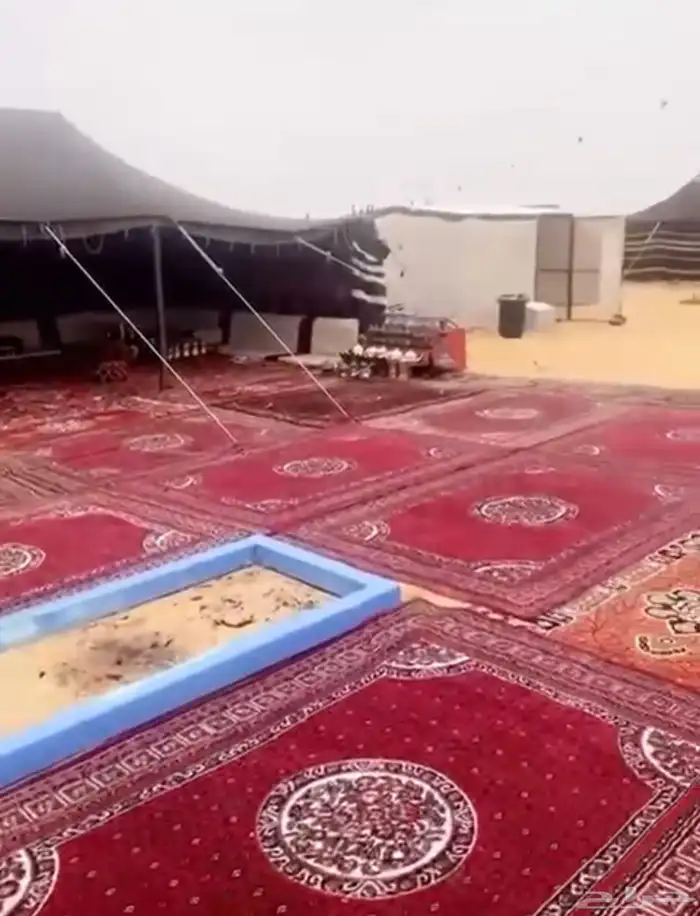 مخيم كامل 8