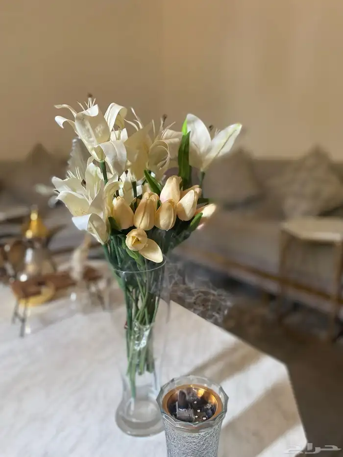 كنب 5 قطع كبير 16 شخص 0