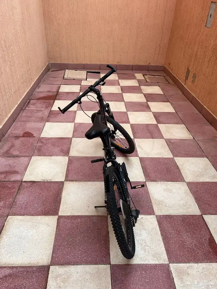 جديد جبلي نظيف 12