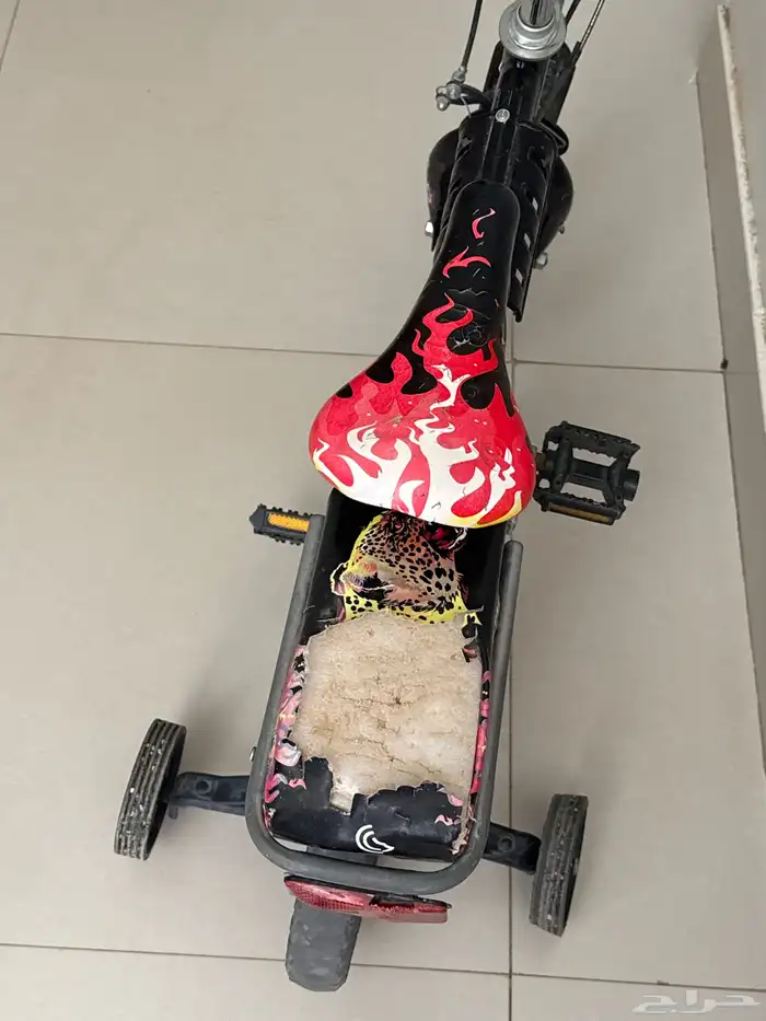 سيكل 1