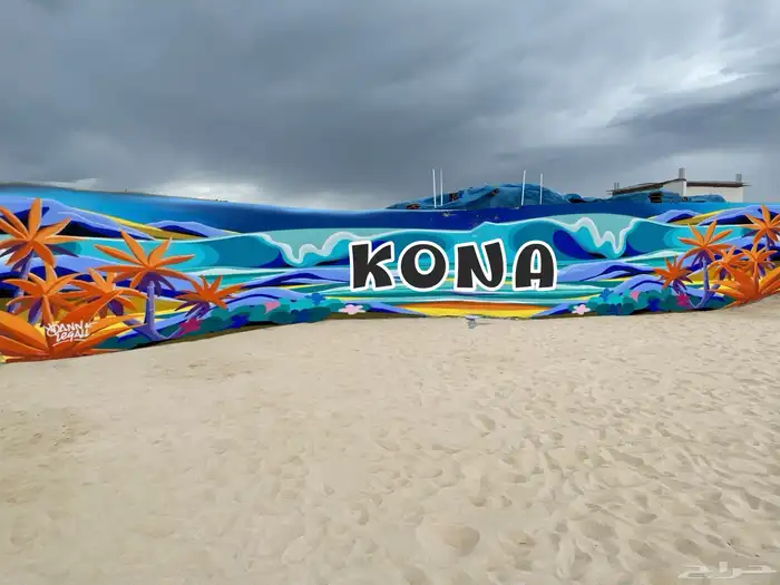 رسمات جداريه باسعار حلوه بمناسبه اليوم الوطني 6