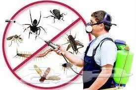 متخصصون بمكافحة الحشرات ورش مبيدات 0