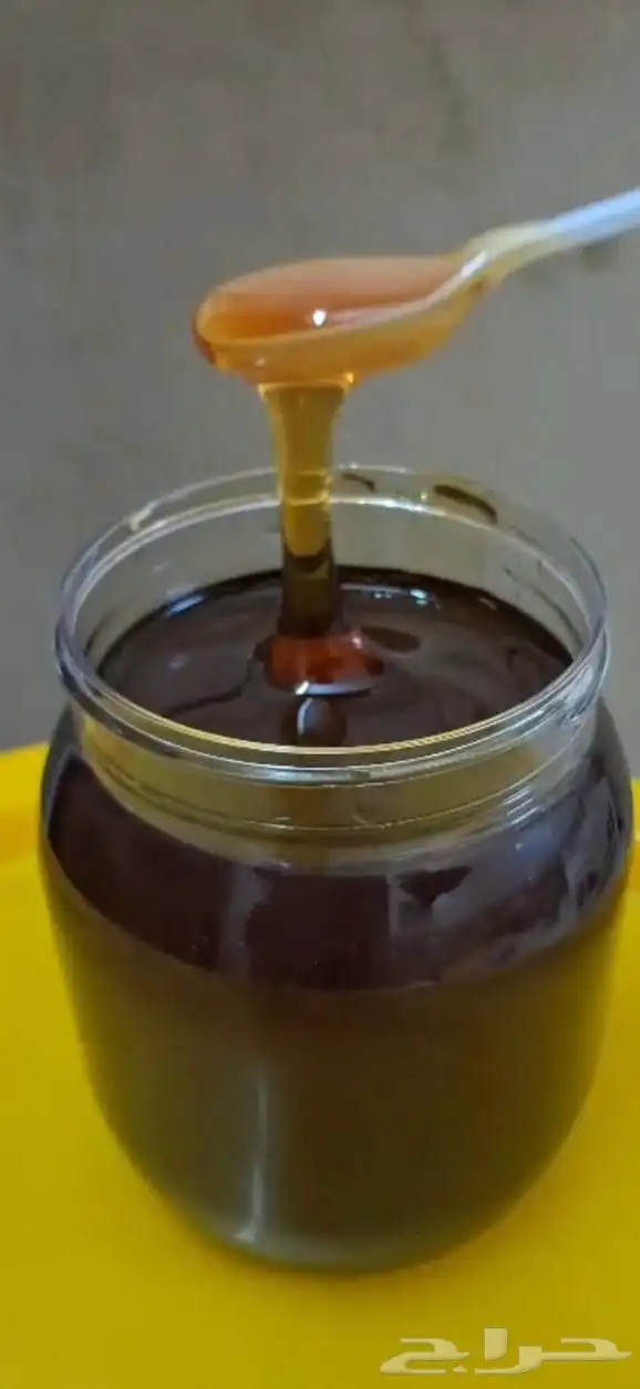 القنفذة القوز الجرد 1