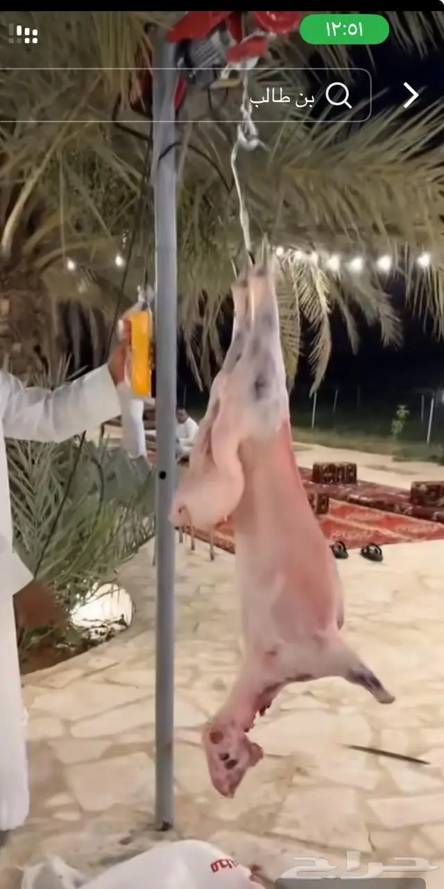 منشار للحم ومنشار حطب ترددي بالبطاريه 5