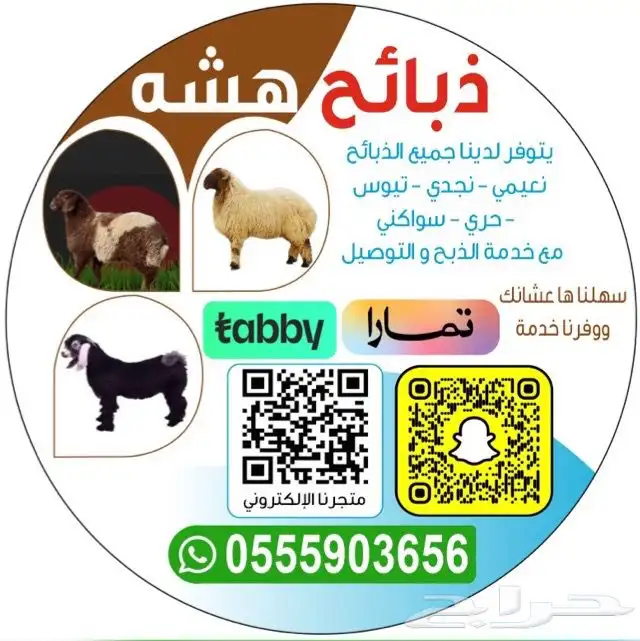 اضاحي تابي وتمارا 0