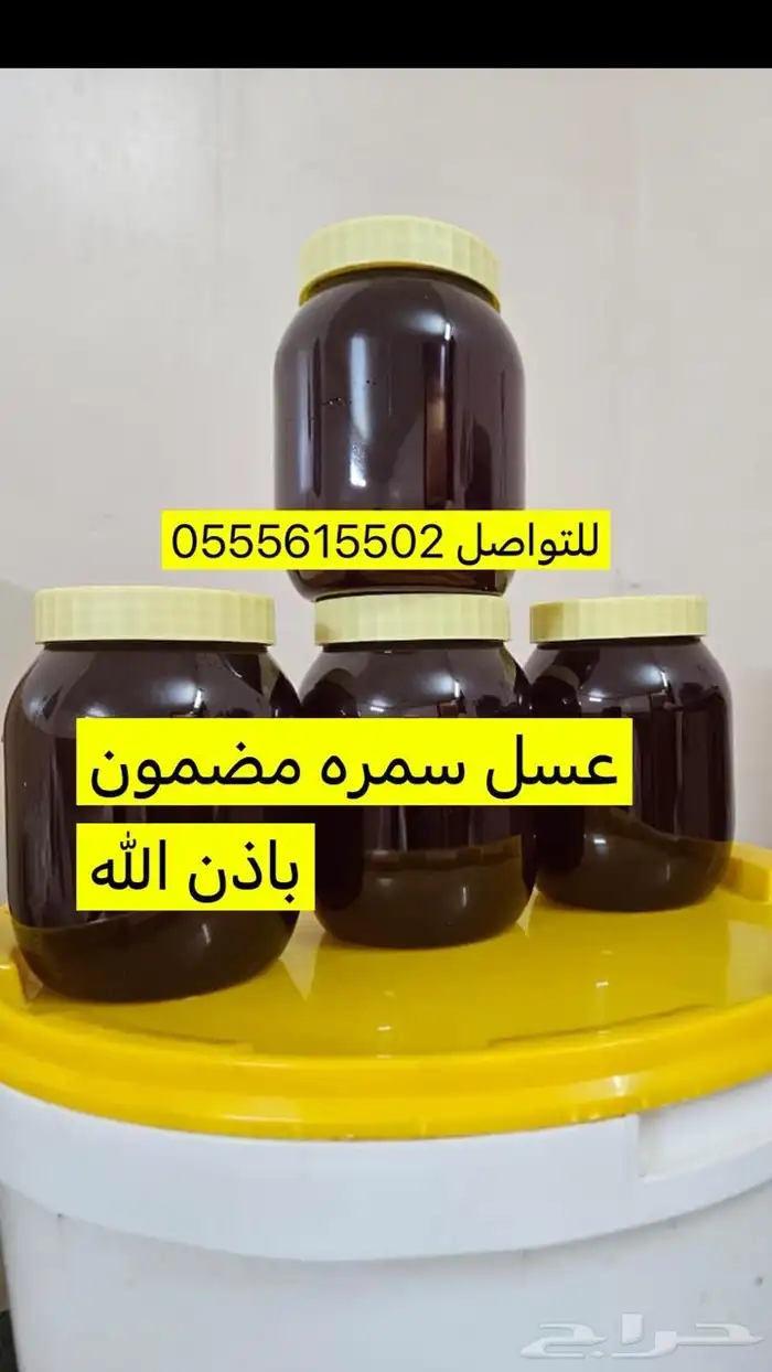 القنفذة القوز الجرد 0
