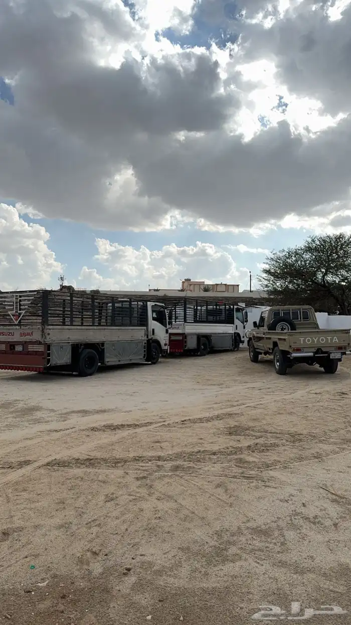 دنه 5متر المشاوير داخل وخارج طريب بسعر مناسب 0