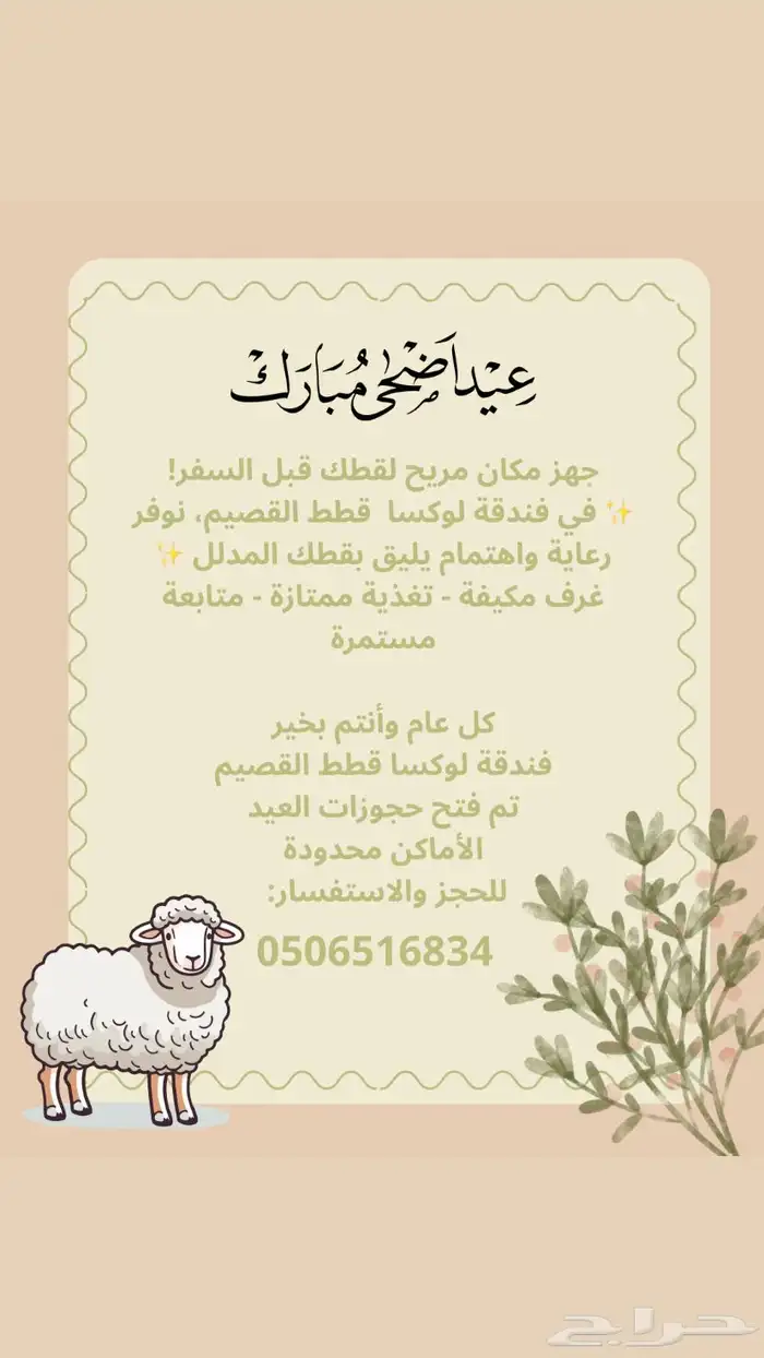 فندقة العيد لقطط القصيم 0