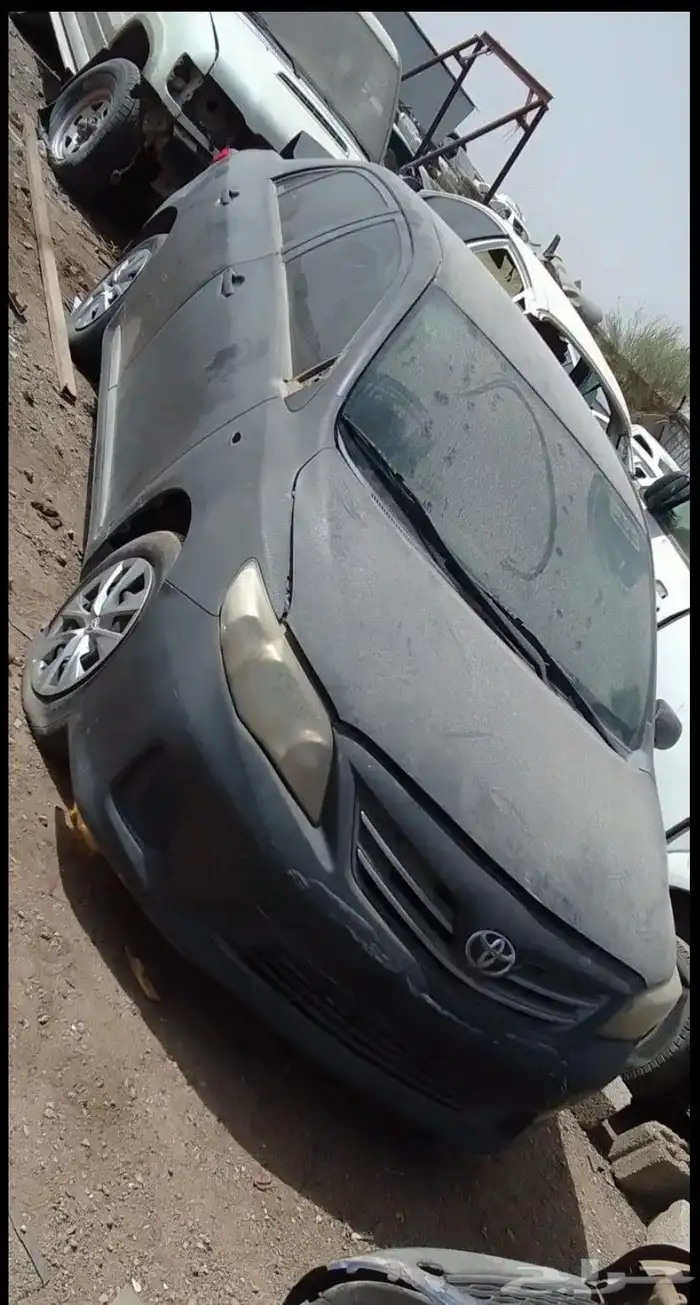 تشاليح المملكه 0