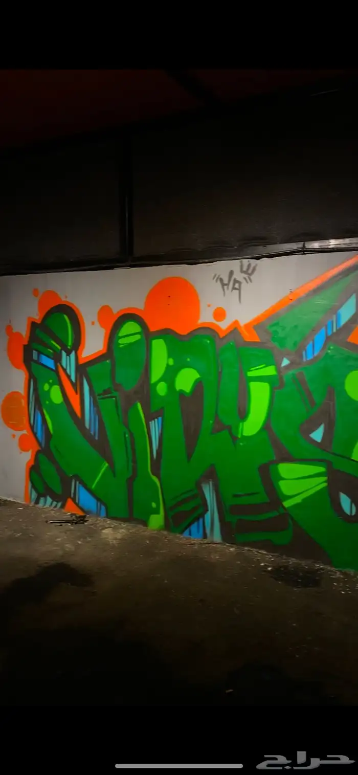 رسمات جداريه باسعار حلوه بمناسبه اليوم الوطني 12