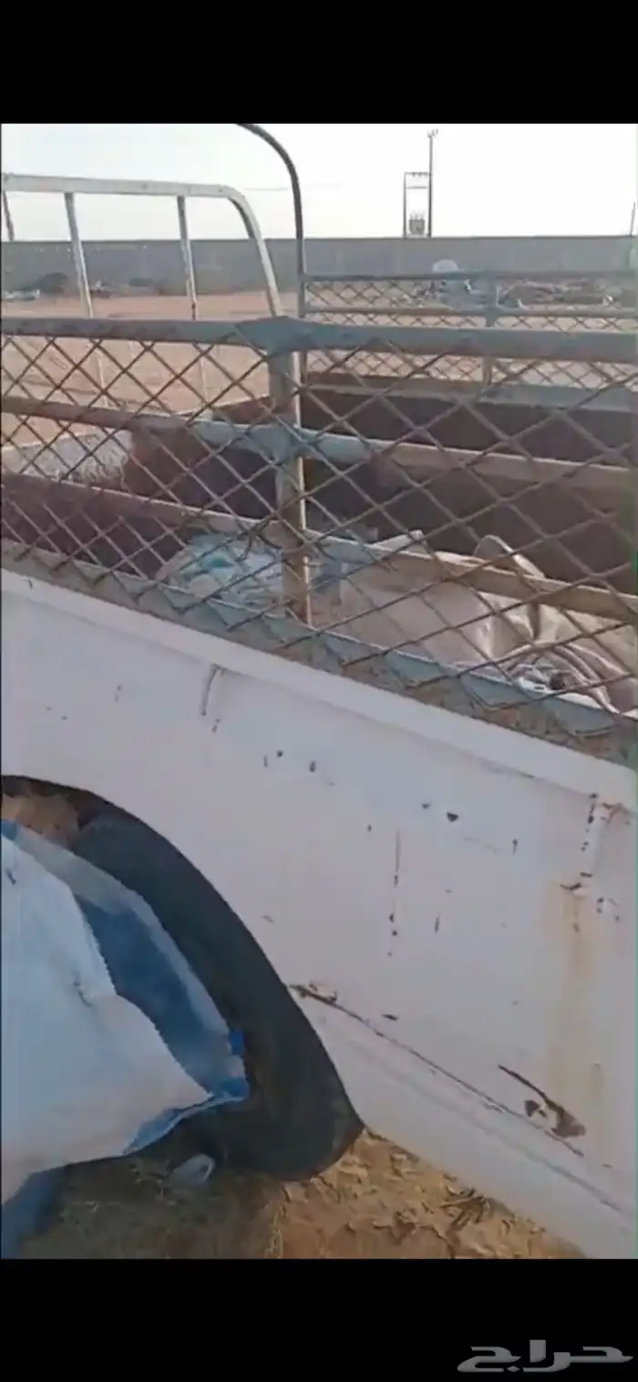 مقطورة للبيع 1