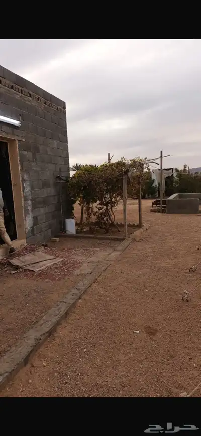 بمريفق استراحه 0