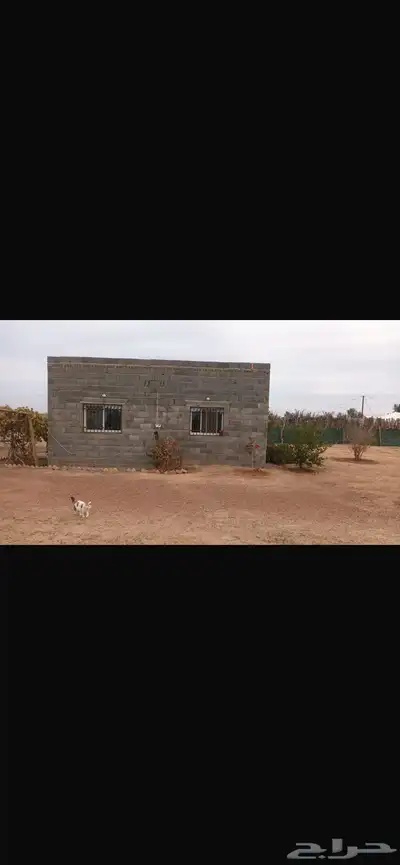 بمريفق استراحه 3