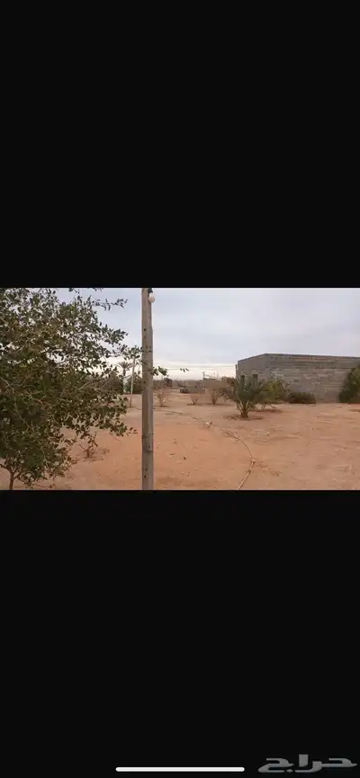بمريفق استراحه 4