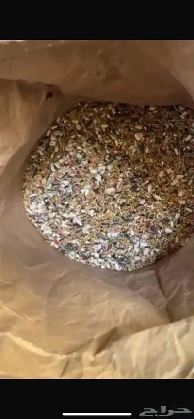 طعام طيور مشكل من شركة رويال 1