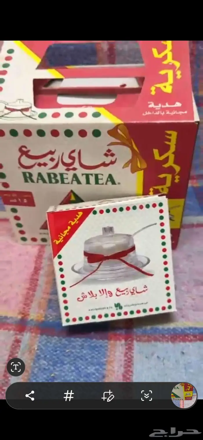 شاهي ربيع 4