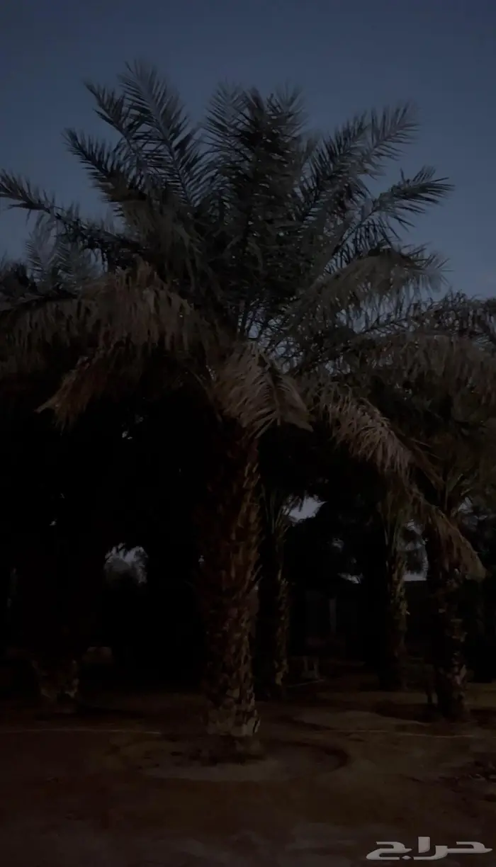 استراحة القباني 2