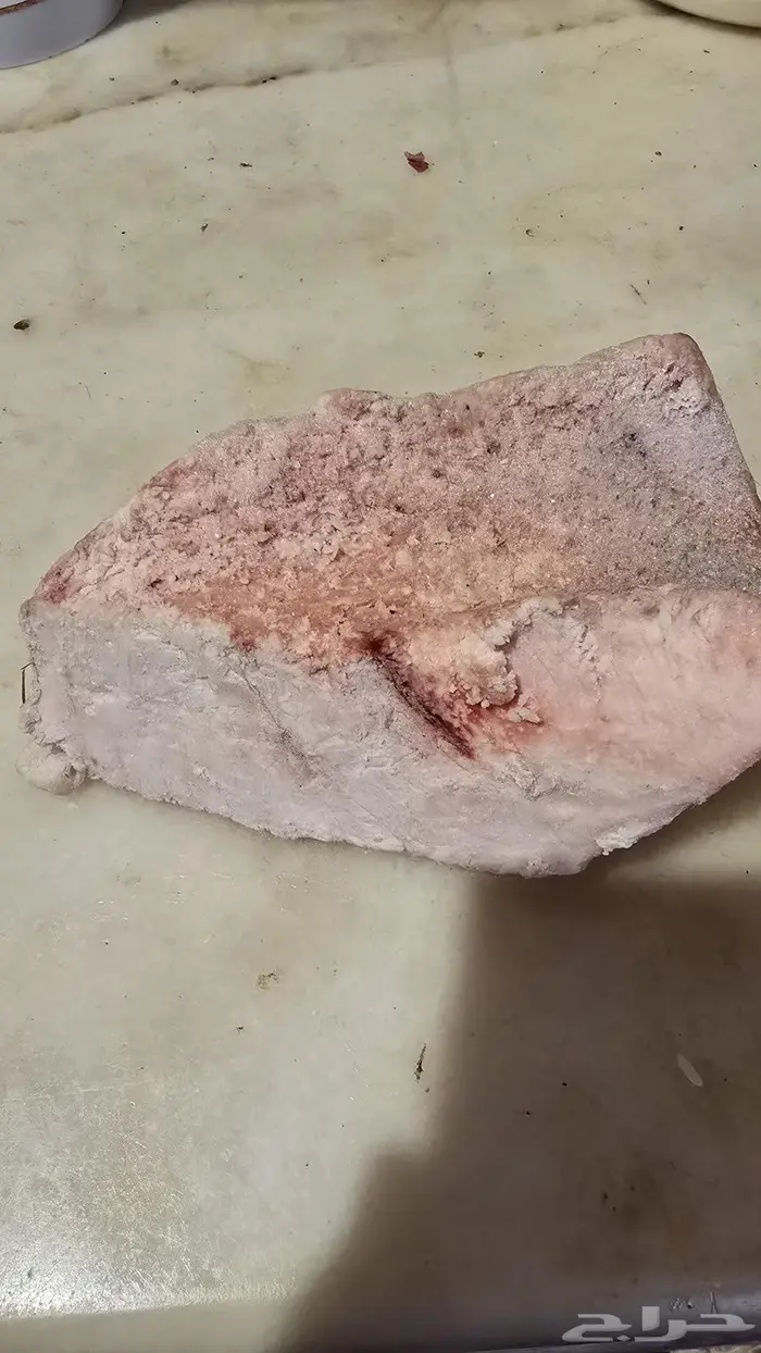 حنظل حدج شري حدق لعلاج الركبة وآلام المفاصل 2