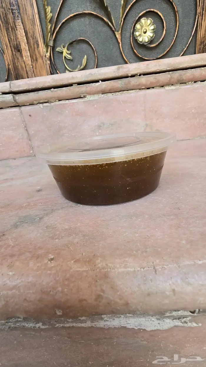 حنظل حدج شري حدق لعلاج الركبة وآلام المفاصل 8