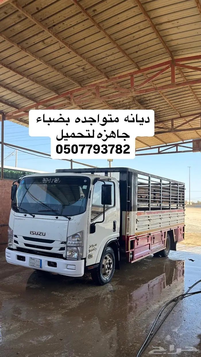 ديانه لتحميل 0