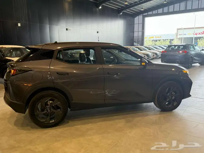 جي اي سي ام زوم 2025 6