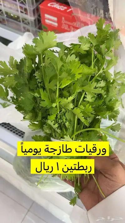 خضار جمله 0