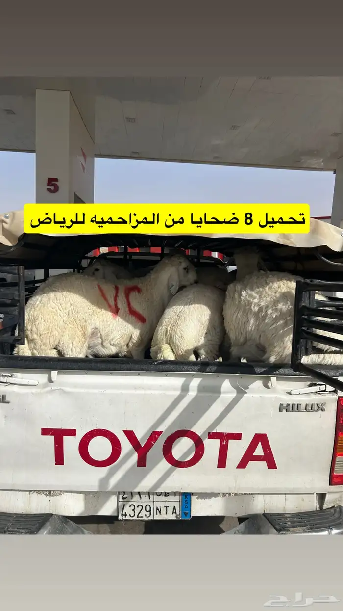 المزاحميه توصيل حلال وغيره 20